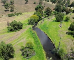 Rural / Farming commercial property sold at 75 Womelguy Road Woolooma NSW 2337