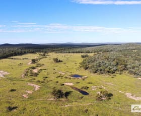 Rural / Farming commercial property for sale at 20901 Cunningham Highway Gore QLD 4352