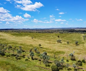 Rural / Farming commercial property for sale at Holmes Road Camboon QLD 4719