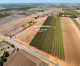 Rural / Farming commercial property sold at Lot 2 Lowan Avenue Red Cliffs VIC 3496