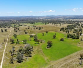 Rural / Farming commercial property for sale at 778 Torryburn Road Yarrowyck NSW 2358