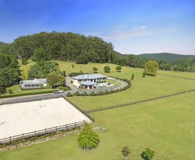 Rural / Farming commercial property for sale at 336 Yarramalong Road Wyong Creek NSW 2259