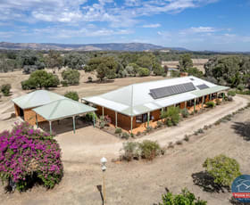 Rural / Farming commercial property sold at 120 Wine Shanty Lane Whiteheads Creek VIC 3660