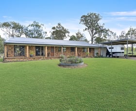 Rural / Farming commercial property for sale at 139 Quarry Road Farley NSW 2320
