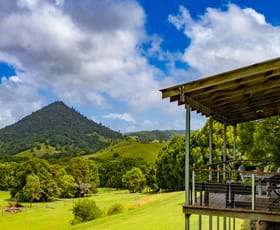 Offices commercial property for lease at 5/185 Mulgrave Road Bungalow QLD 4870