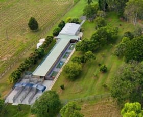 Rural / Farming commercial property for sale at Beerwah QLD 4519