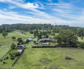 Rural / Farming commercial property for sale at 14 Warrigal Close Brandy Hill NSW 2324