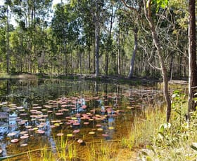 Rural / Farming commercial property sold at 2229 Myall Creek Road West Bungawalbin NSW 2471