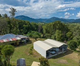 Rural / Farming commercial property for sale at 75 Thorburn Street Nimbin NSW 2480