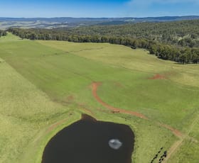 Rural / Farming commercial property sold at 4590 Brackendale Road Nowendoc NSW 2354