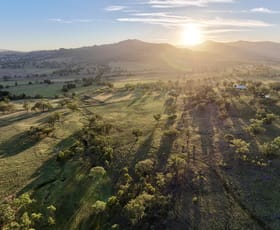 Rural / Farming commercial property sold at "Runnymead" 142 Borambil Creek Road Willow Tree NSW 2339