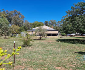 Rural / Farming commercial property sold at 365 Whitton Park Road Peak Hill NSW 2869
