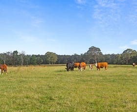 Rural / Farming commercial property for sale at 2209 Wombeyan Caves Road High Range NSW 2575