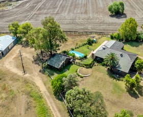 Rural / Farming commercial property for sale at "Kooyong" 1123 Kamilaroi Hwy Quirindi NSW 2343