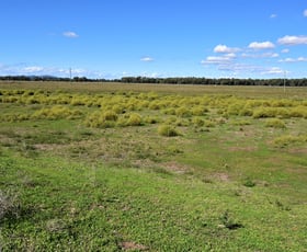 Rural / Farming commercial property for sale at 236 Kelvin Road Gunnedah NSW 2380