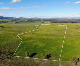 Rural / Farming commercial property for sale at 236 Kelvin Road Gunnedah NSW 2380