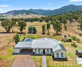 Rural / Farming commercial property for sale at 79 Maysteers Lane Tamworth NSW 2340