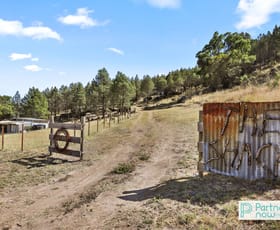 Rural / Farming commercial property for sale at "Pine Villa" New England Highway Moonbi NSW 2353