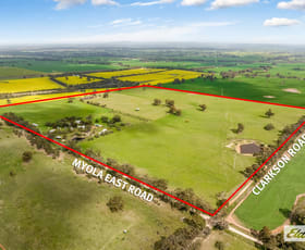 Rural / Farming commercial property for sale at 493 Myola East Road Toolleen VIC 3551