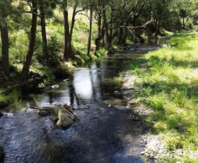 Rural / Farming commercial property sold at Coonawarra Stewarts Brook Road Stewarts Brook NSW 2337