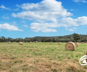Rural / Farming commercial property for sale at 425 Toomuc Valley Road Pakenham VIC 3810