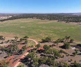 Rural / Farming commercial property sold at Back Hillston Road Tabbita NSW 2652