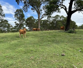 Rural / Farming commercial property sold at 95/3709 Clarence Town Road Dungog NSW 2420