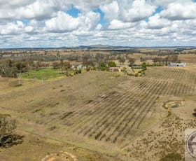 Rural / Farming commercial property for sale at Kingstown Road Uralla NSW 2358