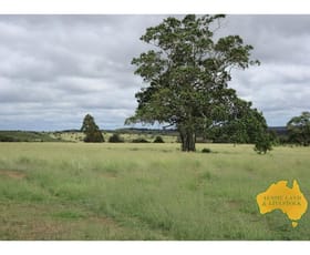 Rural / Farming commercial property for sale at 1377 Dangore Mountain Road Dangore QLD 4610