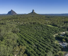Rural / Farming commercial property for sale at 269 Coonowrin Rd Glass House Mountains QLD 4518