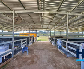 Rural / Farming commercial property for sale at 707 Bilwon Road Biboohra QLD 4880