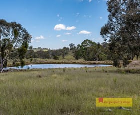 Rural / Farming commercial property for sale at 590 Prices Lane Mudgee NSW 2850