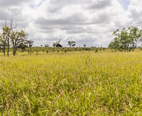 Rural / Farming commercial property for sale at 205 Redbank Road Roma QLD 4455