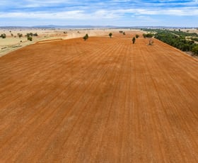 Rural / Farming commercial property for sale at Barellan Road Narrandera NSW 2700