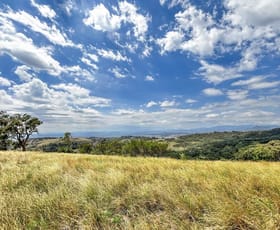 Rural / Farming commercial property for sale at 171 Tourles Road Willow Tree NSW 2339