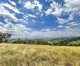 Rural / Farming commercial property sold at 171 Tourles Road Willow Tree NSW 2339