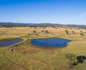 Rural / Farming commercial property for sale at 1872 Reedy Creek Road Tenterfield NSW 2372