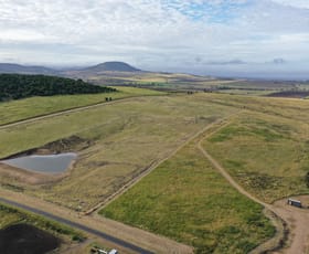 Rural / Farming commercial property sold at Lot 7 Charleys Gully Road Freestone QLD 4370