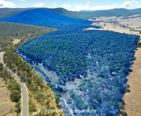 Rural / Farming commercial property sold at 1008 Limestone Road Benambra VIC 3900