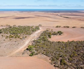 Rural / Farming commercial property sold at 815 Carpa Road Cowell SA 5602