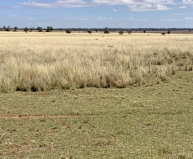 Rural / Farming commercial property sold at 602 Eumungerie Road Narromine NSW 2821