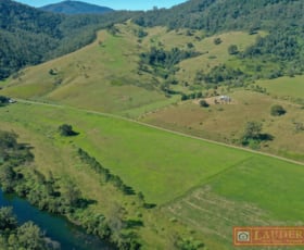 Rural / Farming commercial property for sale at 542 Cundle Flat Road Cundle Flat NSW 2424