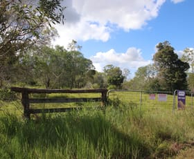 Rural / Farming commercial property for sale at Lot 183 Baupleview Road St Mary QLD 4650