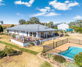 Rural / Farming commercial property sold at 295 Adairs Lane Heathcote VIC 3523