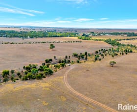 Rural / Farming commercial property for sale at Lot 250 Wellington Road Woodchester SA 5255