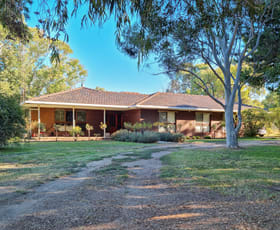 Rural / Farming commercial property sold at 444 Koroop Road Koroop VIC 3579