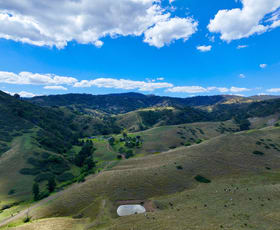 Rural / Farming commercial property sold at "Cooleen North" Bushs Creek Road Timor Via Murrurundi NSW 2338