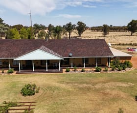 Rural / Farming commercial property for sale at "Wallaroi West" Wardy Bus Road Condobolin NSW 2877