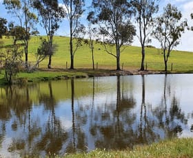 Rural / Farming commercial property sold at 2745 Seymour-Tooborac Road Tooborac VIC 3522