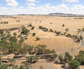 Rural / Farming commercial property sold at 1440 The Rock-Mangoplah Road Mangoplah NSW 2652